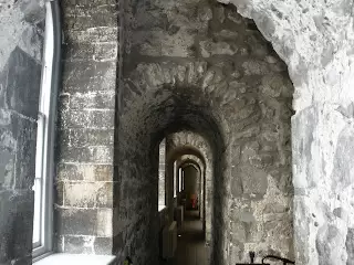 Basement 2429